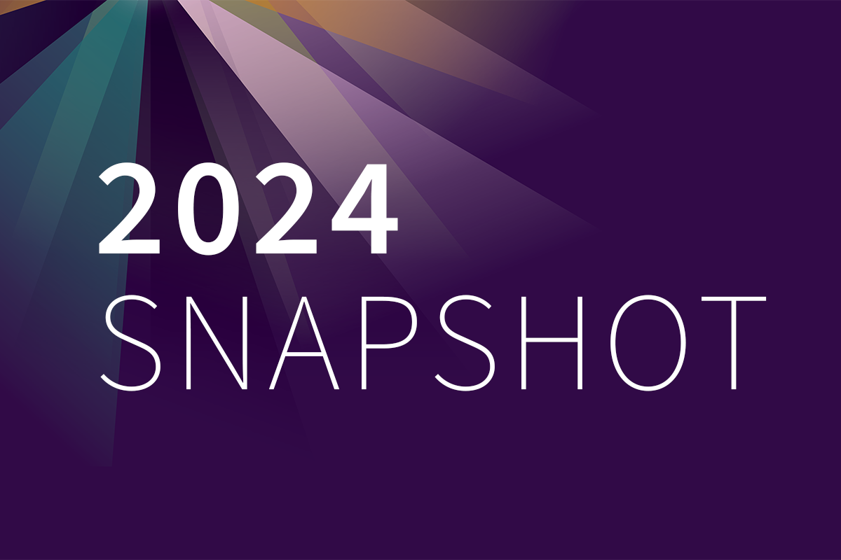 2024 Assets and Grantmaking Snapshot